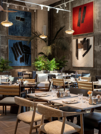 יום כיף + כניסה למתקני הבריכה + א. צהריים/ערב 