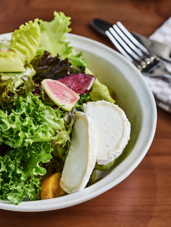 יום כיף + כניסה למתקני הבריכה + א. בוקר 